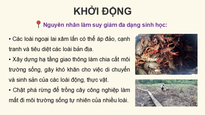 Giáo án điện tử Hoạt động trải nghiệm 12 chân trời bản 2 Chủ đề 6: Bảo tồn động vật, thực vật và cảnh quan thiên nhiên (P1)