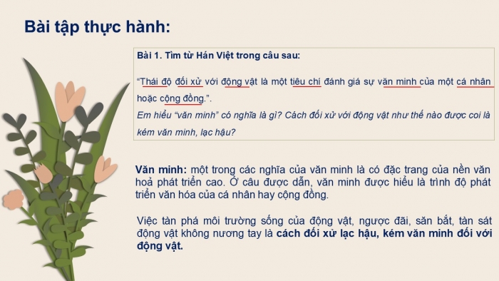 Giáo án PPT Ngữ văn 6 cánh diều Bài 8: Thực hành tiếng Việt