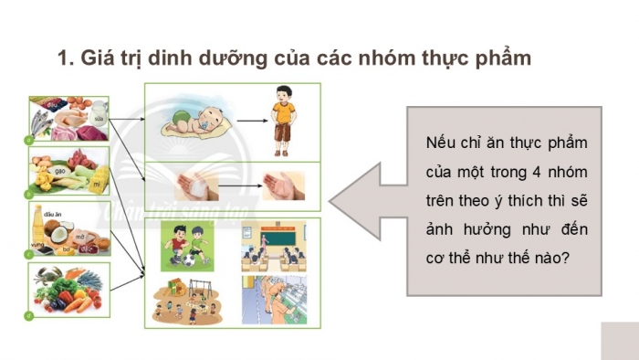 Giáo án PPT Công nghệ 6 chân trời Bài 4: Thực phẩm và dinh dưỡng