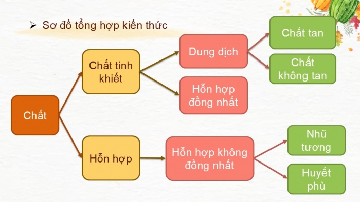 Giáo án PPT KHTN 6 chân trời Ôn tập Chủ đề 5