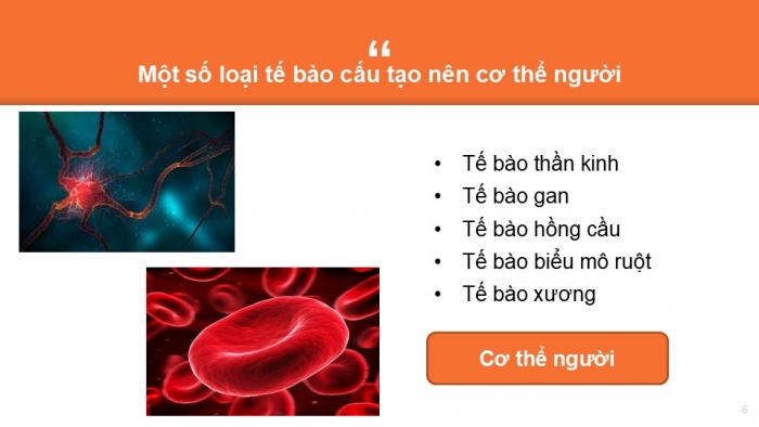 Giáo án PPT KHTN 6 kết nối Bài 18: Tế bào – Đơn vị cơ bản của sự sống