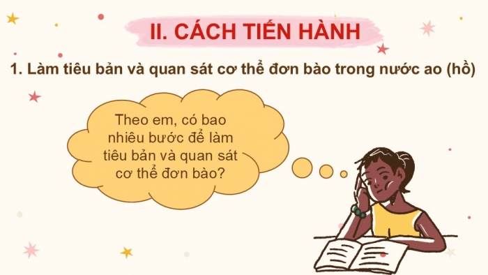 Giáo án PPT KHTN 6 kết nối Bài 24 Thực hành: Quan sát và mô tả cơ thể đơn bào, cơ thể đa bào