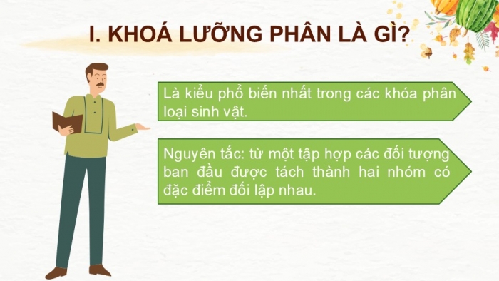 Giáo án PPT KHTN 6 kết nối Bài 26: Khoá lưỡng phân