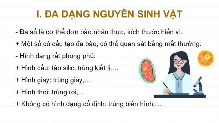 Giáo án PPT KHTN 6 kết nối Bài 30: Nguyên sinh vật