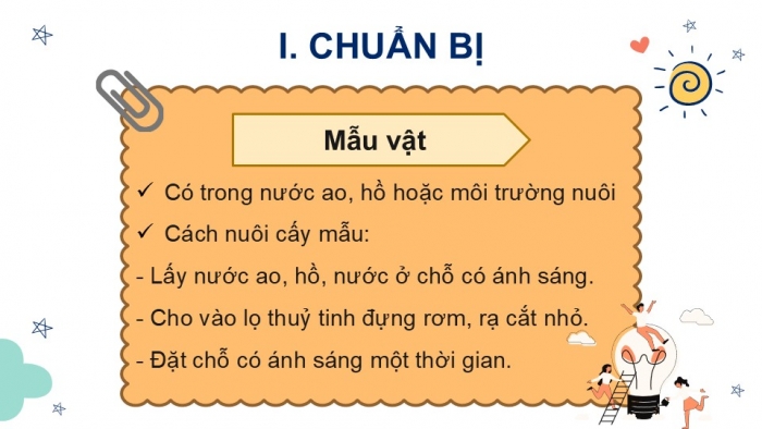 Giáo án PPT KHTN 6 kết nối Bài 31 Thực hành: Quan sát nguyên sinh vật