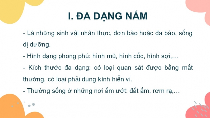 Giáo án PPT KHTN 6 kết nối Bài 32: Nấm