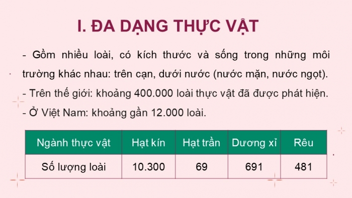 Giáo án PPT KHTN 6 kết nối Bài 34: Thực vật