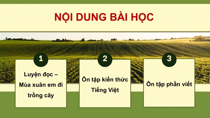 Giáo án PPT dạy thêm Tiếng Việt 5 chân trời bài 3: Bài đọc Mùa xuân em đi trồng cây. Luyện từ và câu Cách nối các vế trong câu ghép. Lập dàn ý cho bài văn tả người