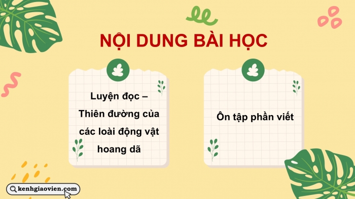 Giáo án PPT dạy thêm Tiếng Việt 5 chân trời bài 6: Bài đọc Thiên đường của các loài động vật hoang dã. Viết đoạn kết bài cho bài văn tả người