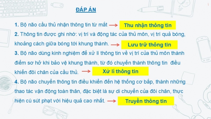 Giáo án PPT Tin học 6 kết nối Bài 2: Xử lí thông tin