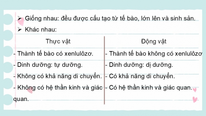 Giáo án PPT KHTN 6 kết nối Bài 36: Động vật