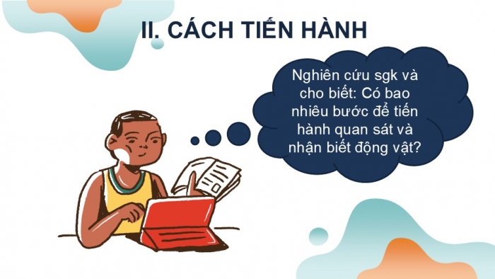 Giáo án PPT KHTN 6 kết nối Bài 37 Thực hành: Quan sát và nhận biết một số nhóm động vật ngoài thiên nhiên