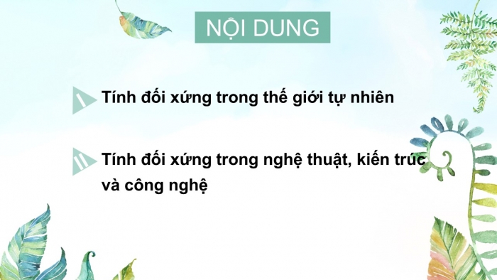 Giáo án PPT Toán 6 cánh diều Bài 7: Đối xứng trong thực tiễn