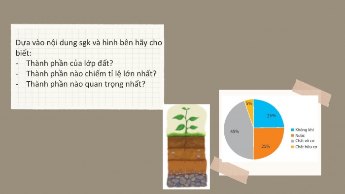 Giáo án PPT Địa lí 6 chân trời Bài 19: Lớp đất và các nhân tố hình thành đất. Một số nhóm đất điển hình