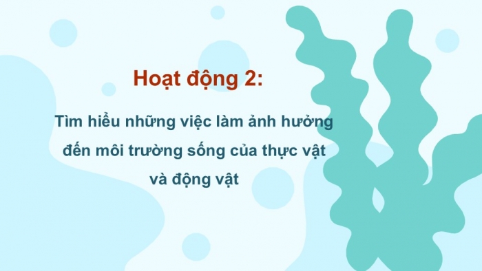 Giáo án PPT Tự nhiên và Xã hội 2 kết nối Bài 18: Cần làm gì để bảo vệ môi trường sống của thực vật và động vật?