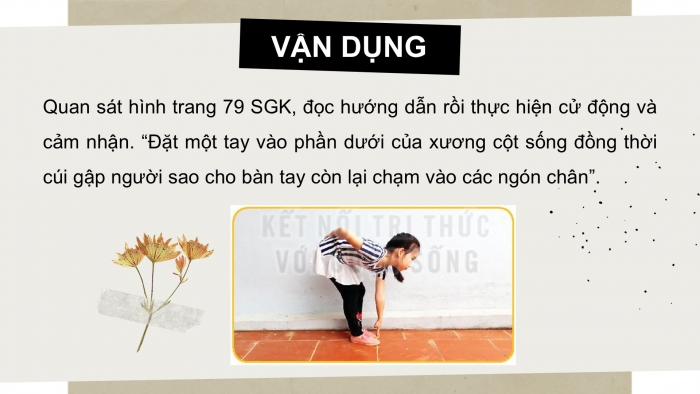 Giáo án PPT Tự nhiên và Xã hội 2 kết nối Bài 21: Tìm hiểu cơ quan vận động