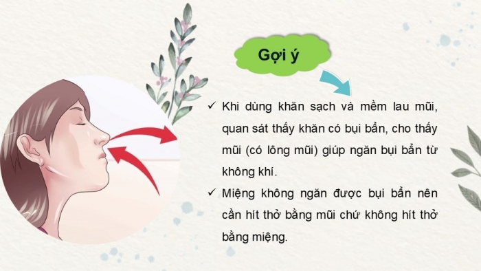 Giáo án PPT Tự nhiên và Xã hội 2 kết nối Bài 24: Chăm sóc, bảo vệ cơ quan hô hấp