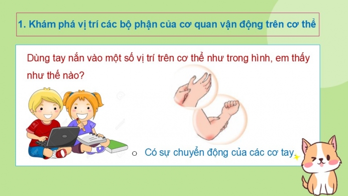 Giáo án PPT Tự nhiên và Xã hội 2 cánh diều Bài 14: Cơ quan vận động