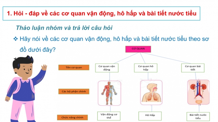 Giáo án PPT Tự nhiên và Xã hội 2 cánh diều Ôn tập và đánh giá chủ đề Con người và sức khoẻ