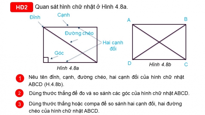 Giáo án PPT Toán 6 kết nối Bài 19: Hình chữ nhật. Hình thoi. Hình bình hành. Hình thang cân