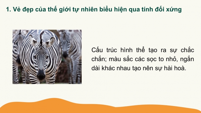 Giáo án PPT Toán 6 chân trời Bài 3: Vai trò của tính đối xứng trong thế giới tự nhiên