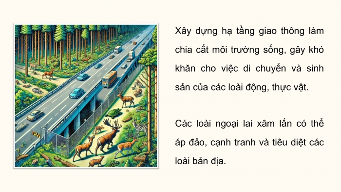 Giáo án điện tử Hoạt động trải nghiệm 12 cánh diều Chủ đề 6: Bảo vệ cảnh quan thiên nhiên và sự đa dạng sinh học (P1)