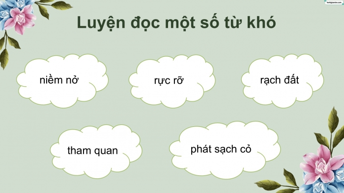 Giáo án điện tử Tiếng Việt 5 cánh diều Bài 13: Hoa trạng nguyên