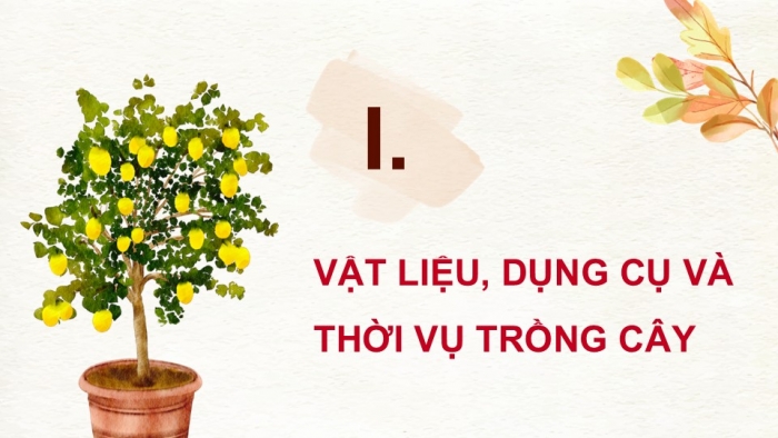 Giáo án điện tử Công nghệ 9 Trồng cây ăn quả Cánh diều Bài 10: Thực hành trồng và chăm sóc cây ăn quả