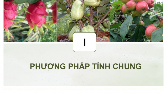 Giáo án điện tử Công nghệ 9 Trồng cây ăn quả Cánh diều Bài 11: Tính chi phí và hiệu quả của việc trồng cây ăn quả