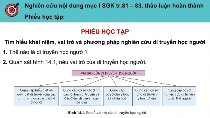 Giáo án điện tử Sinh học 12 cánh diều Bài 14: Di truyền học người