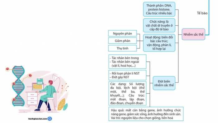 Giáo án điện tử Sinh học 12 cánh diều Bài Ôn tập Phần 5