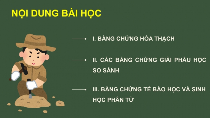 Giáo án điện tử Sinh học 12 cánh diều Bài 15: Bằng chứng tiến hóa