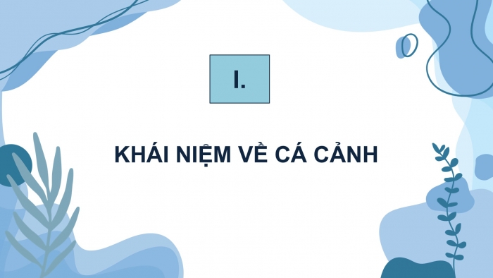 Giáo án điện tử chuyên đề Công nghệ 12 Lâm nghiệp Thuỷ sản Kết nối Bài 10: Giới thiệu chung về cá cảnh