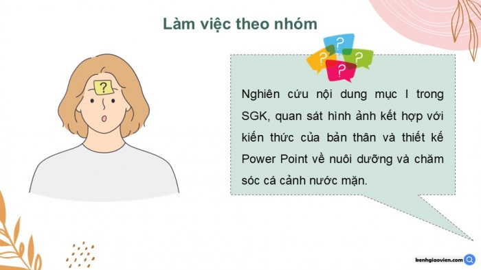 Giáo án điện tử chuyên đề Công nghệ 12 Lâm nghiệp Thuỷ sản Kết nối Bài 12: Nuôi dưỡng và chăm sóc cá cảnh nước mặn