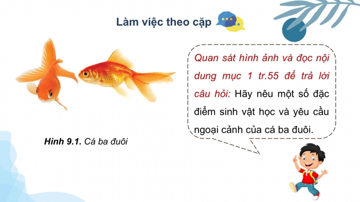 Giáo án điện tử chuyên đề Công nghệ 12 Lâm nghiệp Thuỷ sản Cánh diều Bài 9: Một số loài cá cảnh phổ biến