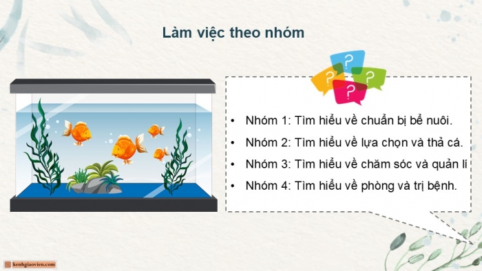 Giáo án điện tử chuyên đề Công nghệ 12 Lâm nghiệp Thuỷ sản Cánh diều Bài 10: Kĩ thuật nuôi dưỡng, chăm sóc một số loại cá cảnh phổ biến