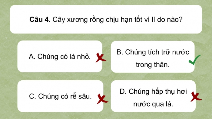 Giáo án điện tử Ngữ văn 9 kết nối Bài 9: Văn hóa hoa – cây cảnh (Trần Quốc Vượng)