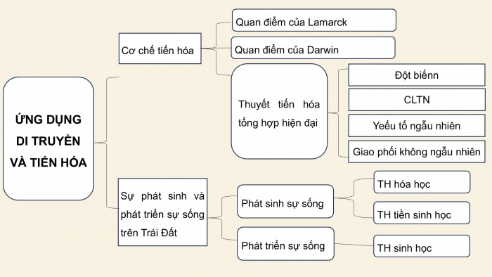 Giáo án điện tử KHTN 9 kết nối - Phân môn Sinh học Bài Ôn tập học kì 2