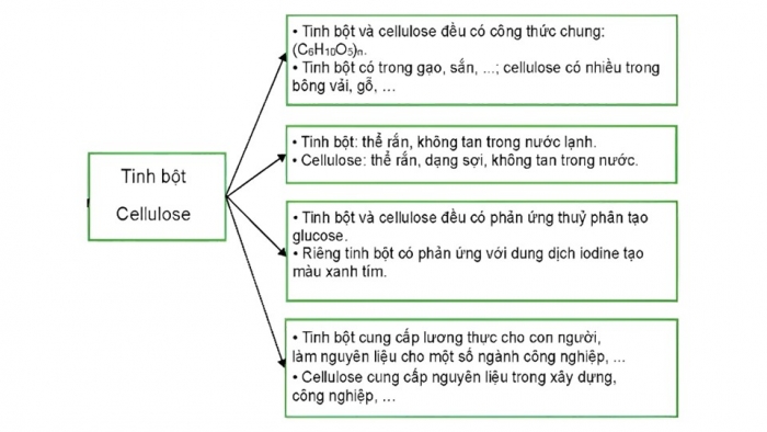 Giáo án điện tử KHTN 9 chân trời - Phân môn Hoá học Bài Ôn tập chủ đề 9