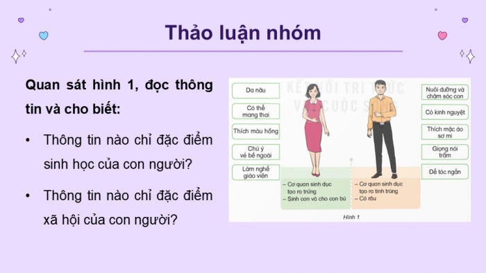 Giáo án điện tử Khoa học 5 kết nối Bài 24: Nam và nữ