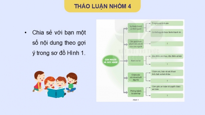 Giáo án điện tử Khoa học 5 kết nối Bài 27: Ôn tập chủ đề Con người và sức khỏe