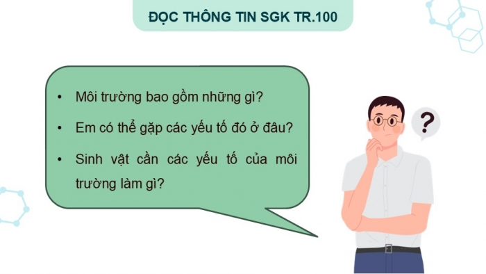 Giáo án điện tử Khoa học 5 kết nối Bài 28: Chức năng của môi trường đối với sinh vật