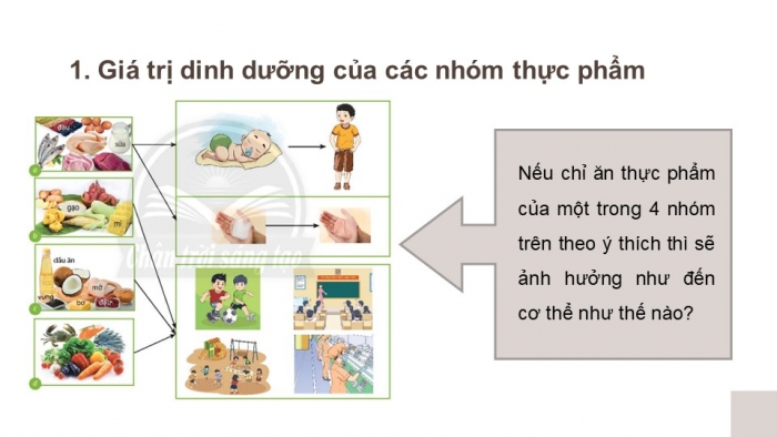 Giáo án và PPT đồng bộ Công nghệ 6 chân trời sáng tạo