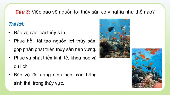 Giáo án điện tử Công nghệ 12 Lâm nghiệp - Thủy sản Kết nối Bài 26: Bảo vệ nguồn lợi thủy sản