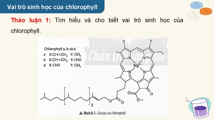 Giáo án điện tử chuyên đề Hoá học 12 chân trời Bài 8: Vai trò và ứng dụng của phức chất