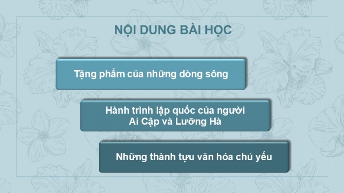 Giáo án PPT Lịch sử 6 kết nối Bài 7: Ai Cập và Lưỡng Hà cổ đại