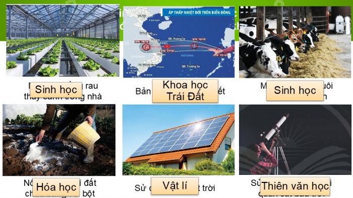 Giáo án PPT KHTN 6 chân trời Bài 2: Các lĩnh vực chủ yếu của khoa học tự nhiên