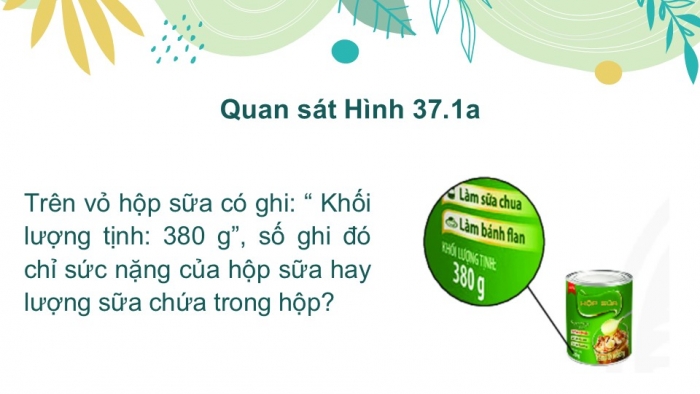 Giáo án PPT KHTN 6 chân trời Bài 37: Lực hấp dẫn và trọng lượng