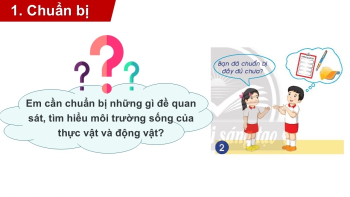 Giáo án PPT Tự nhiên và Xã hội 2 chân trời Bài 17: Thực hành tìm hiểu môi trường sống của thực vật và động vật