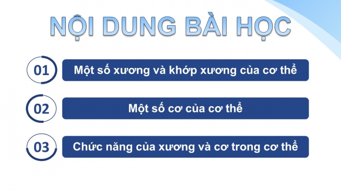 Giáo án PPT Tự nhiên và Xã hội 2 chân trời Bài 19: Cơ quan vận động